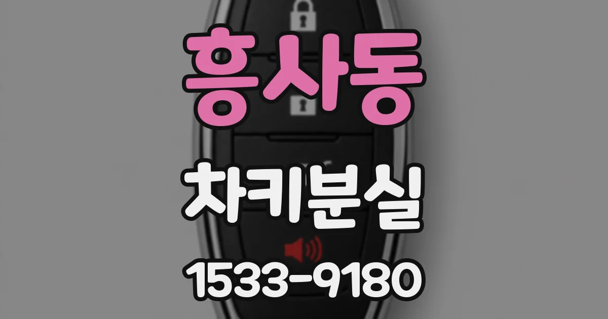 흥사동 차키분실