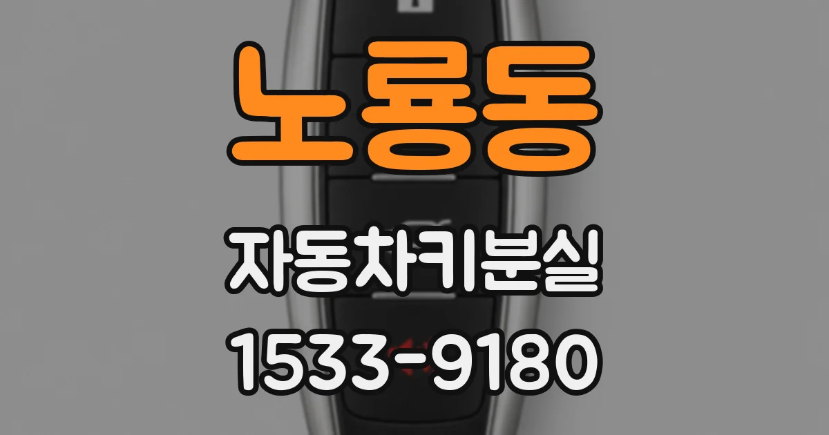 노룡동 자동차키분실