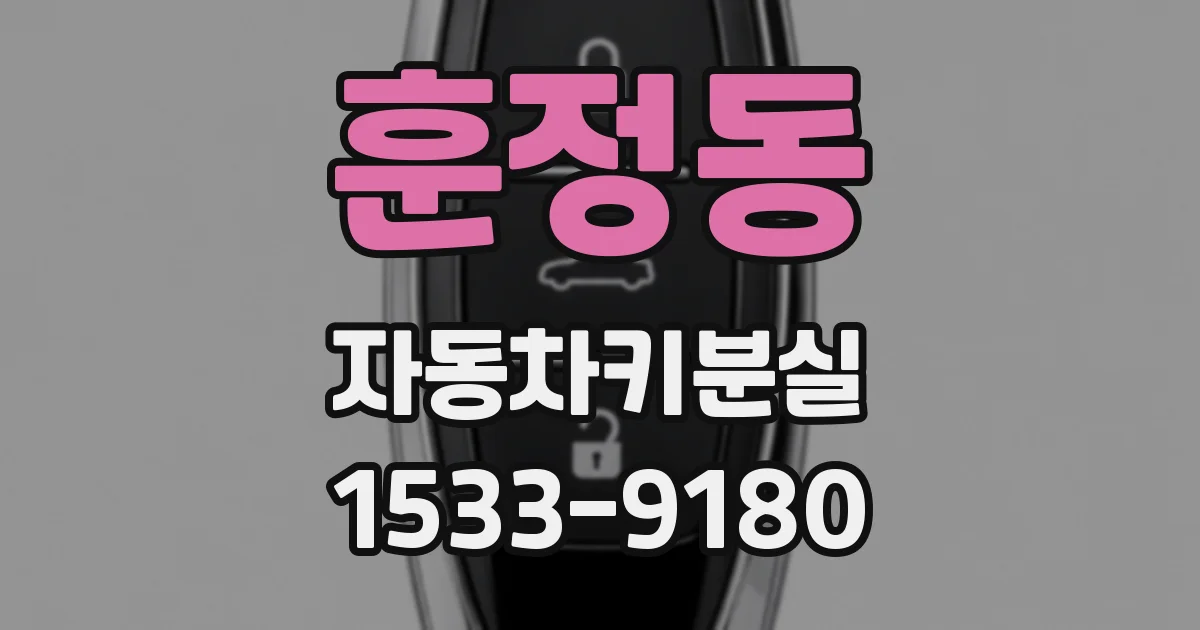 훈정동 자동차키분실
