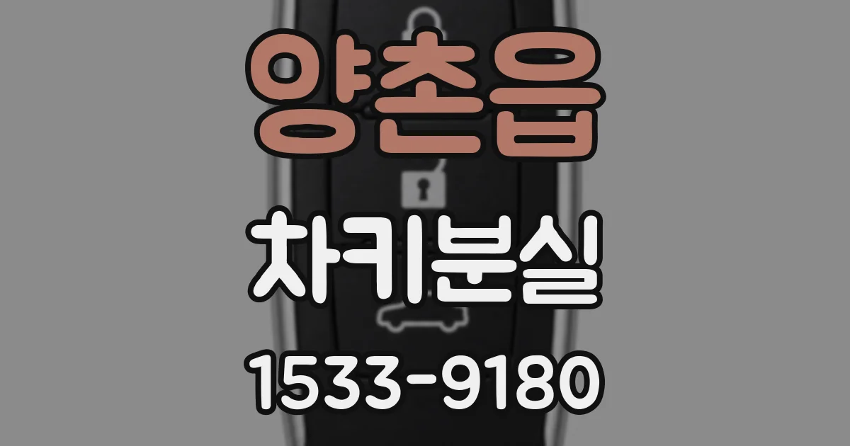 양촌읍 차키분실