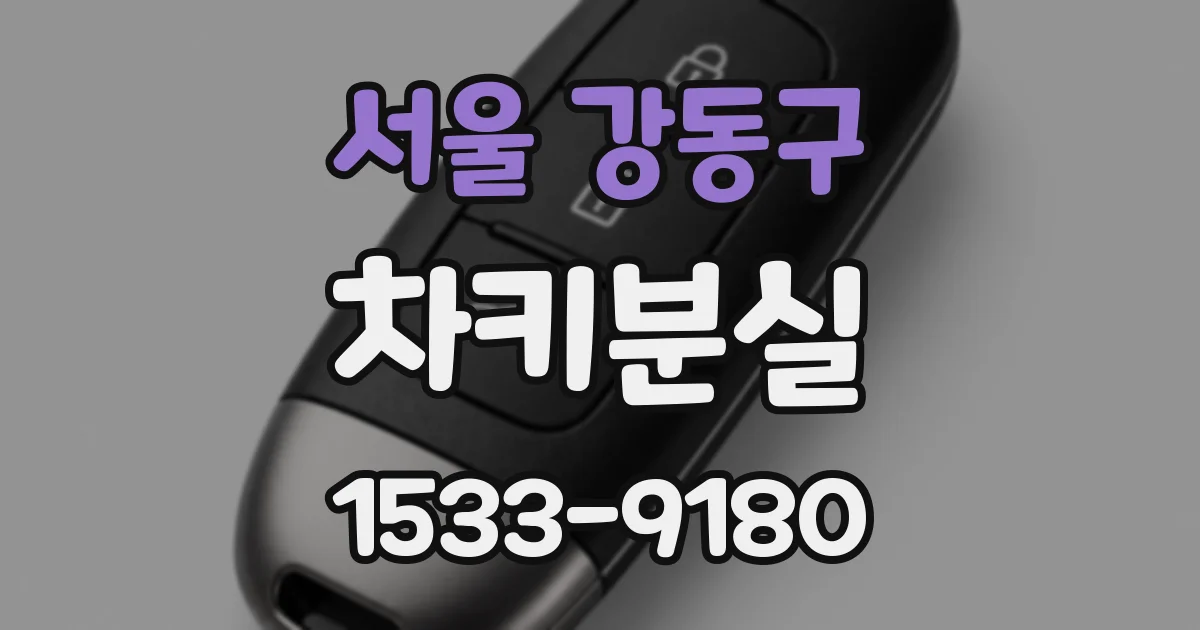 서울 강동구 차키분실