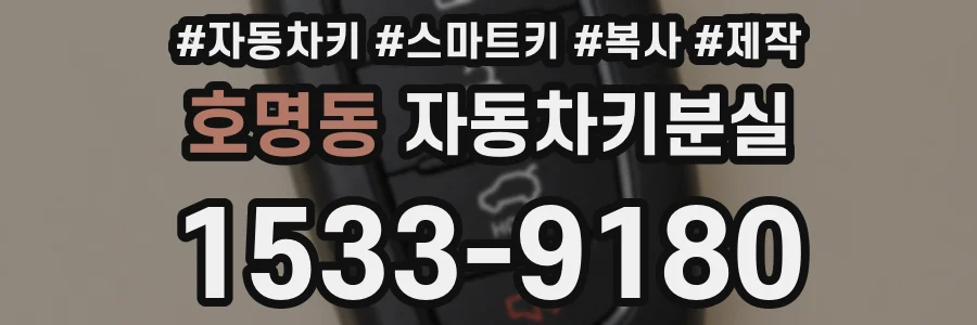 호명동 자동차키분실