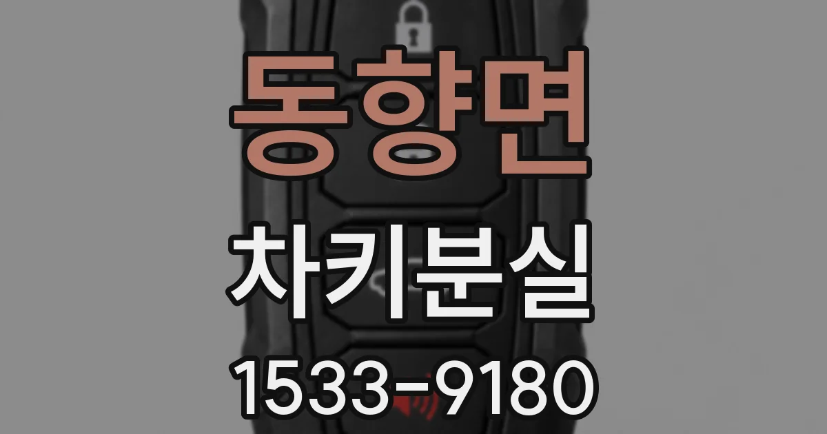 동향면 차키분실