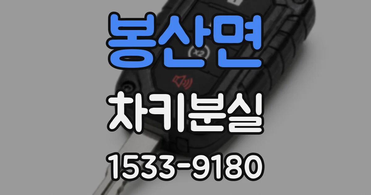 봉산면 차키분실