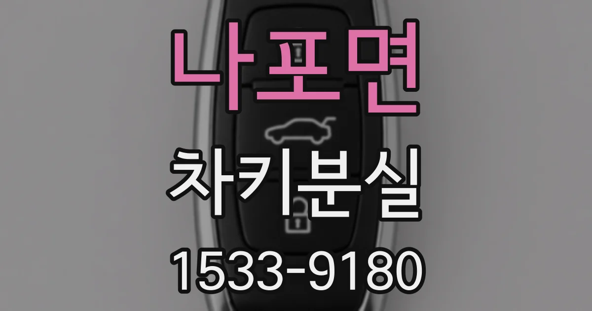 나포면 차키분실