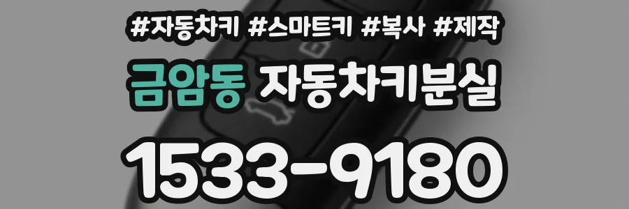 금암동 자동차키분실