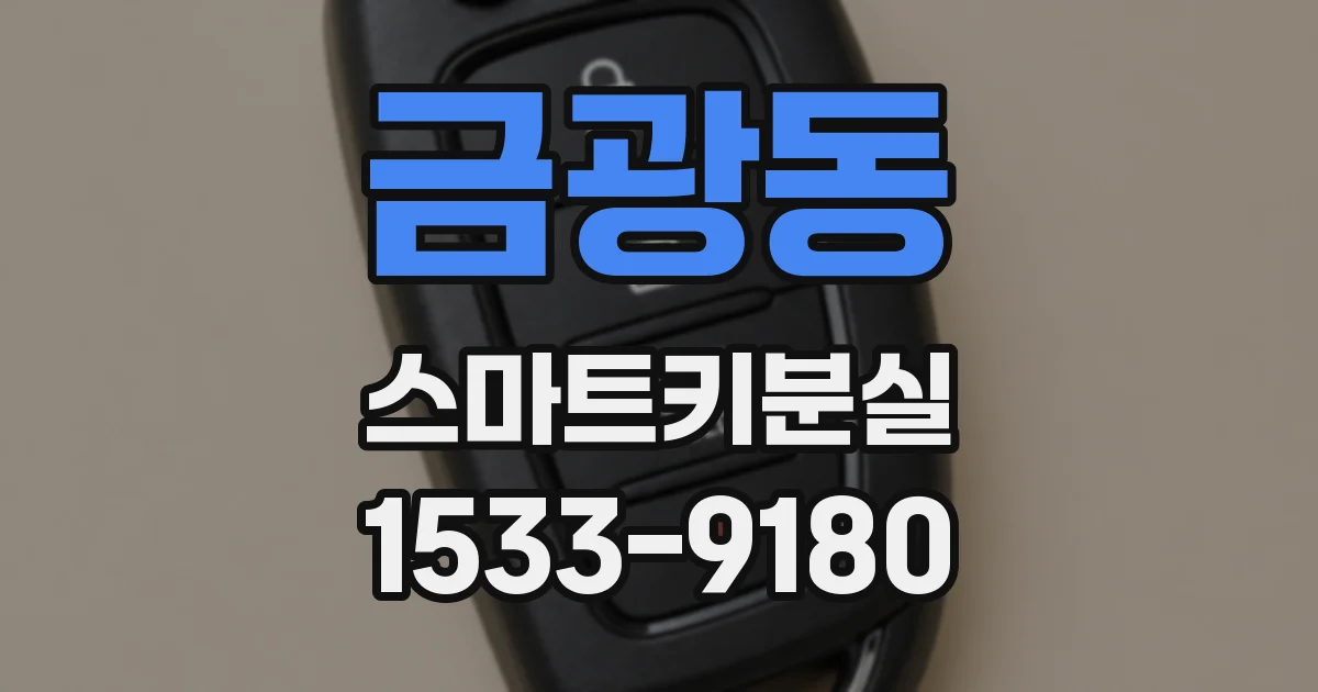 금광동 스마트키분실