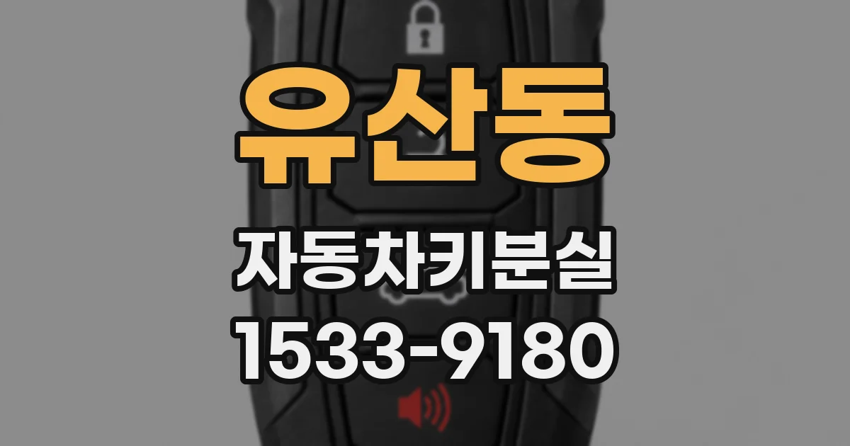 유산동 자동차키분실