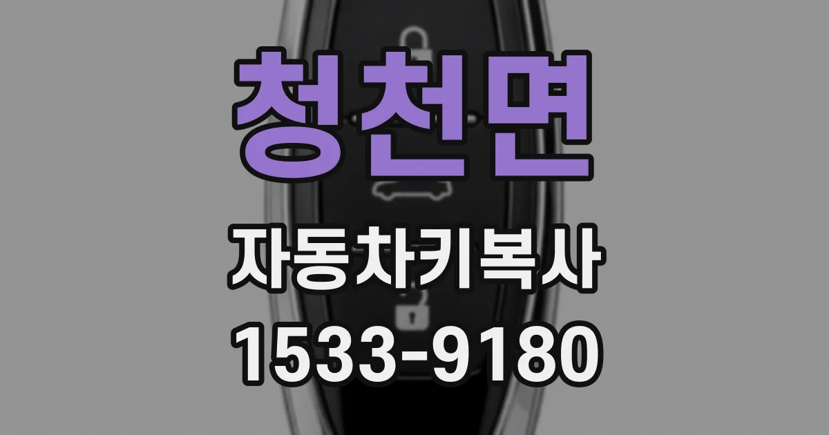청천면 자동차키복사