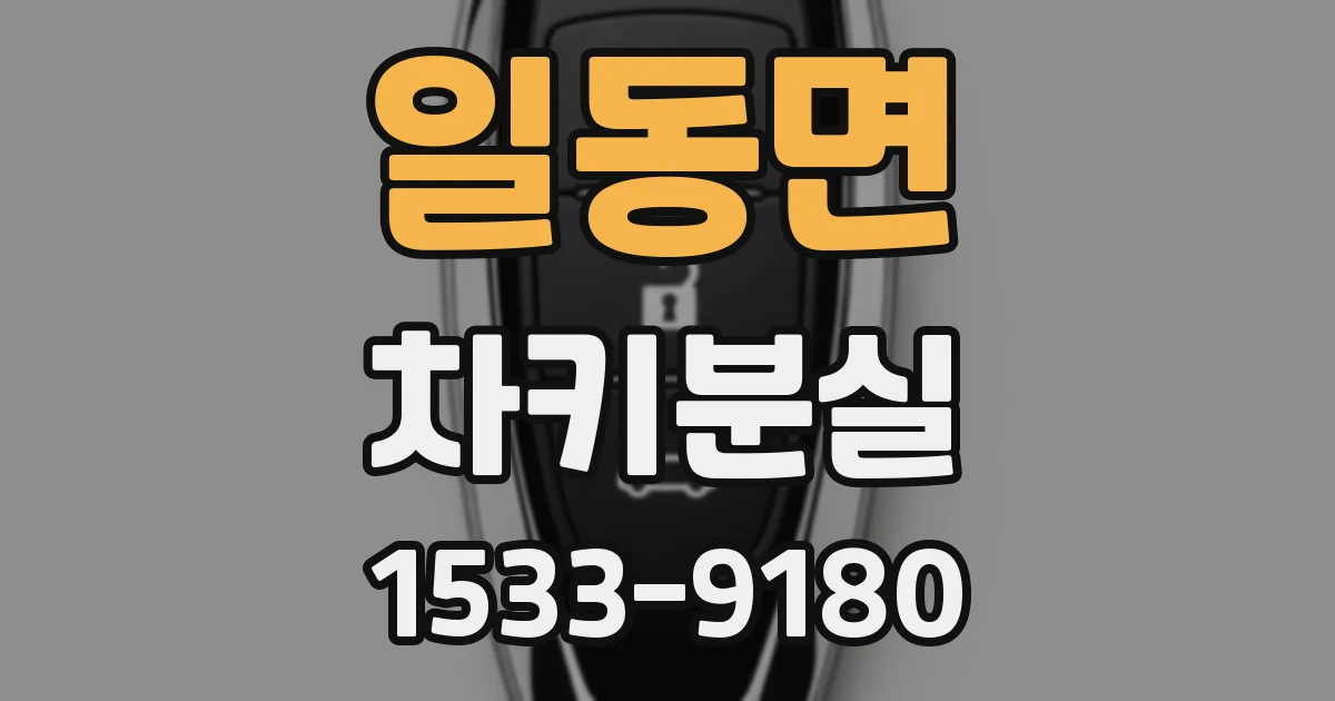 일동면 차키분실