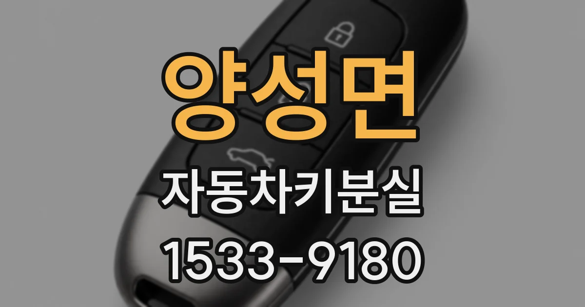 양성면 자동차키분실
