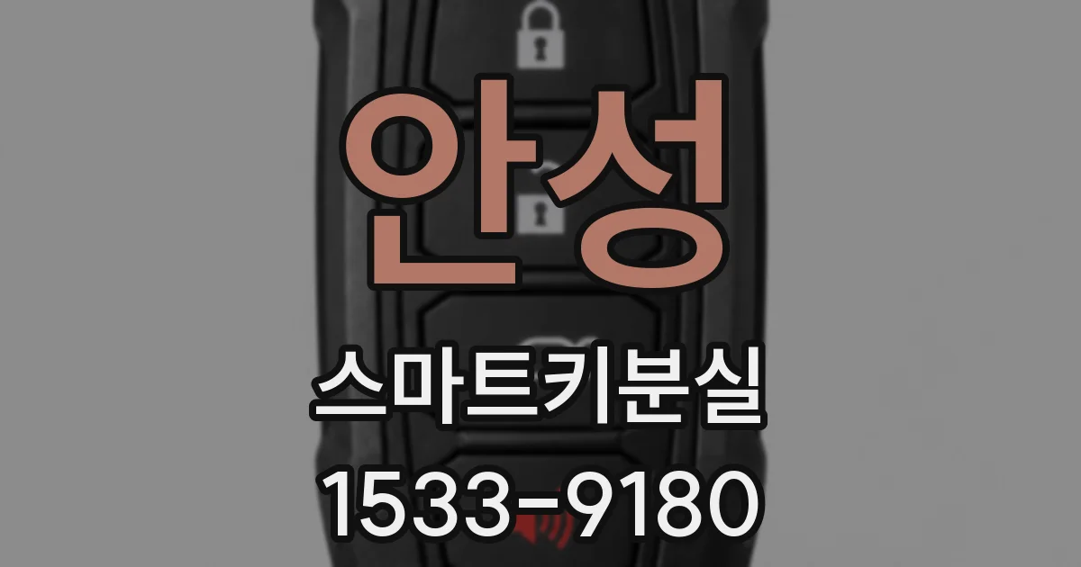 안성 스마트키분실