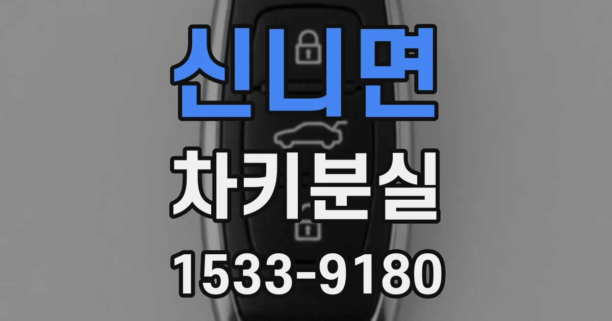 신니면 차키분실