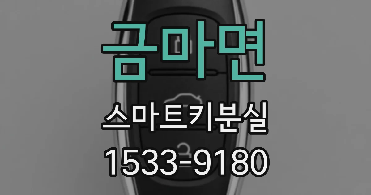 금마면 스마트키분실