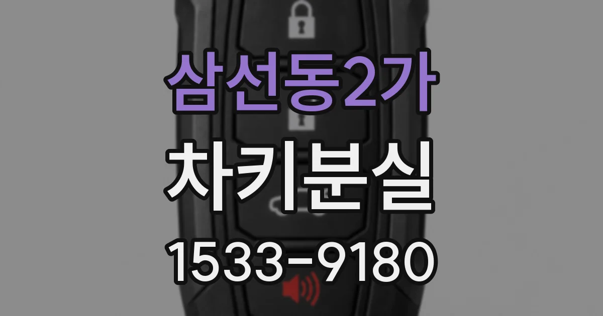삼선동2가 차키분실