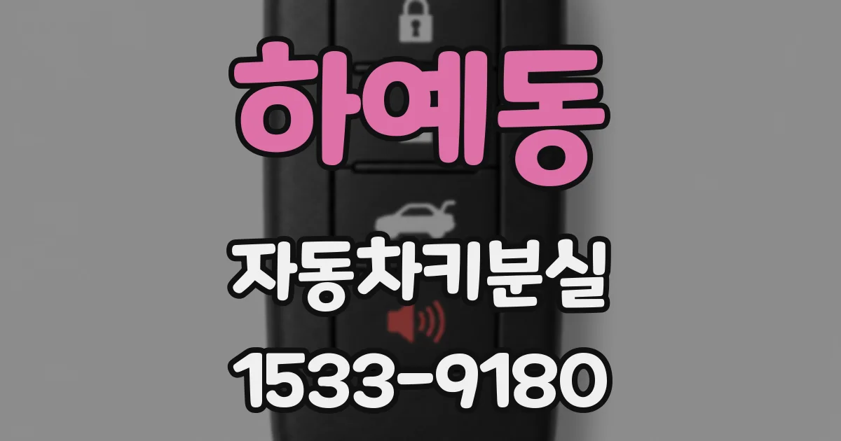 하예동 자동차키분실