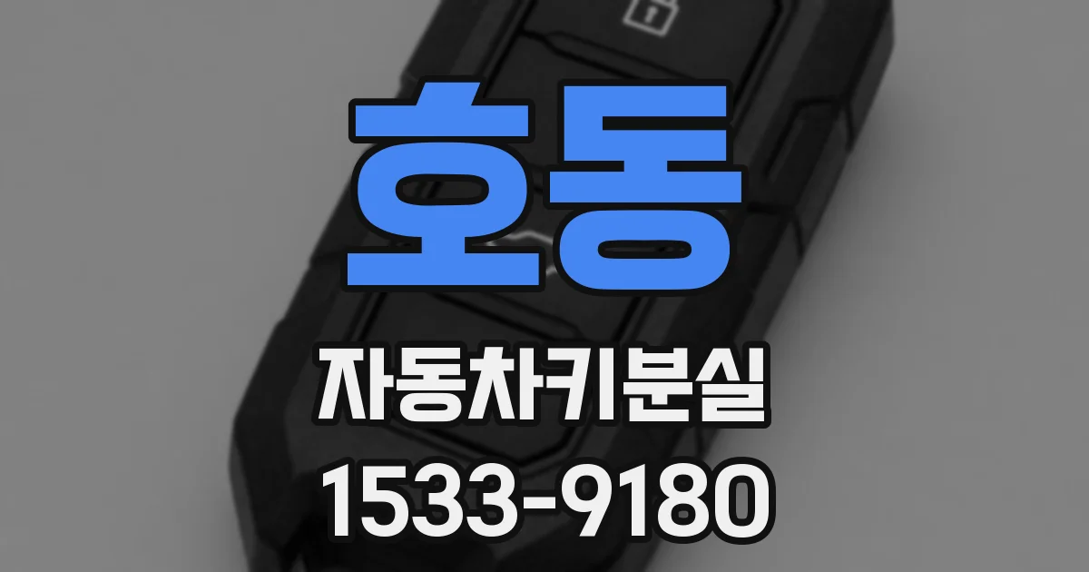 호동 자동차키분실
