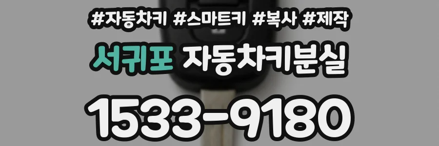 서귀포 자동차키분실