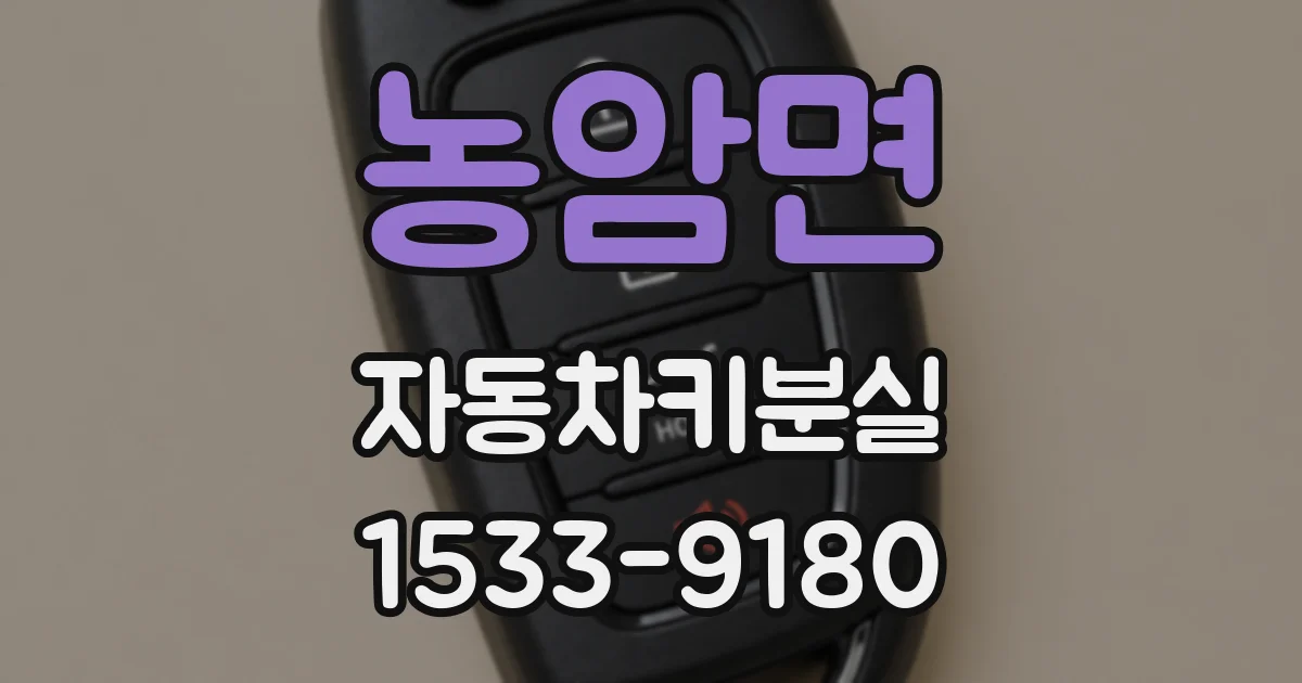농암면 자동차키분실