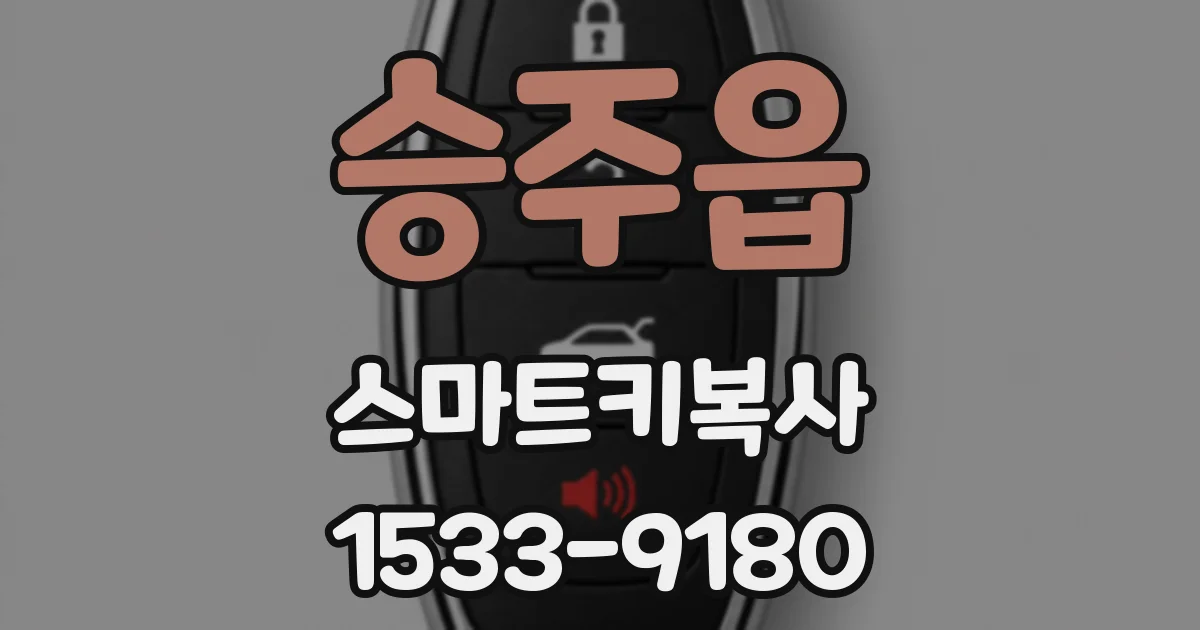 승주읍 스마트키복사