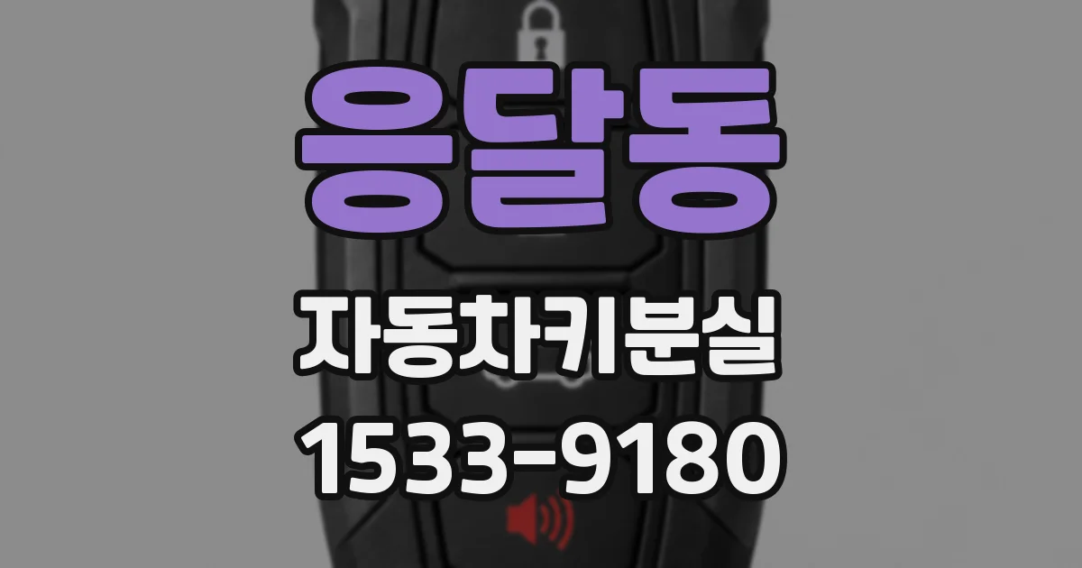응달동 자동차키분실