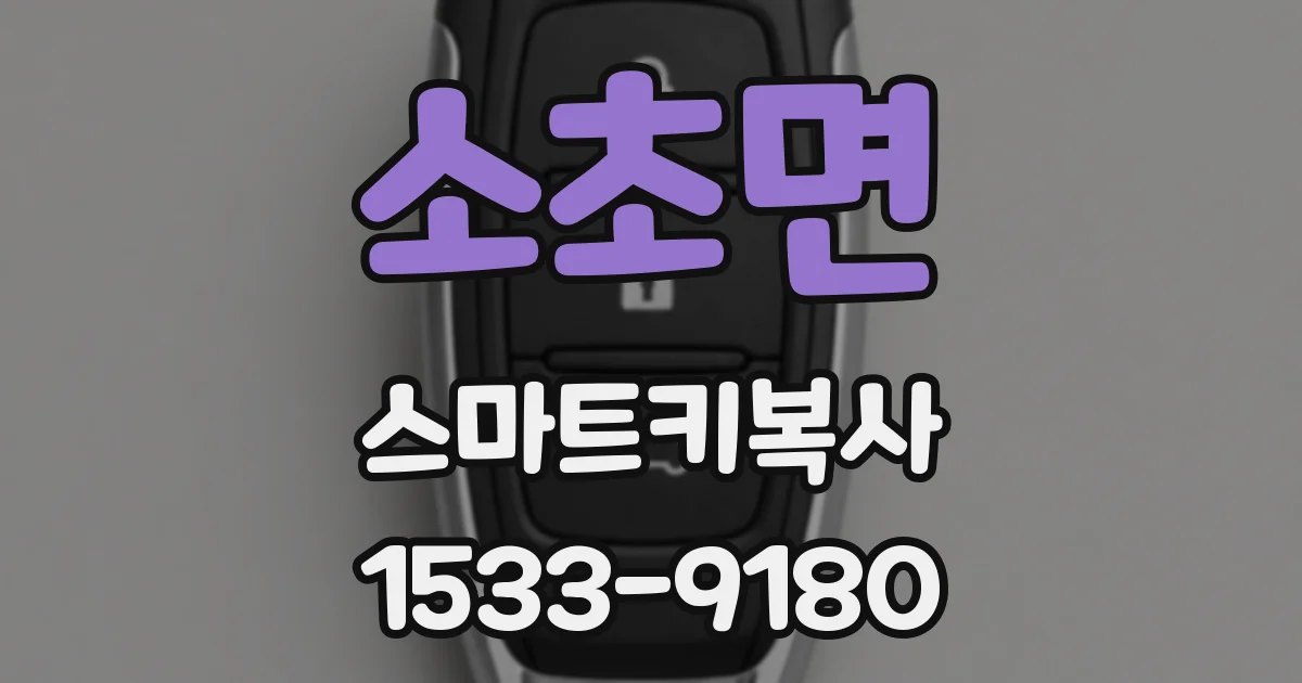 소초면 스마트키복사