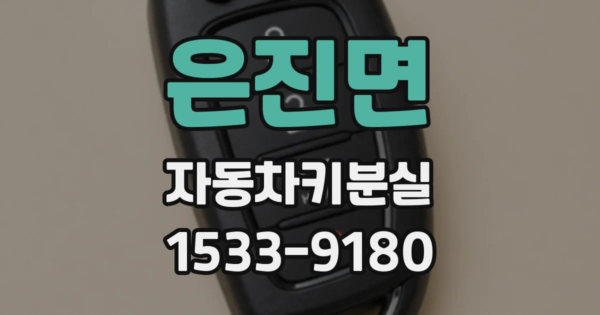 은진면 자동차키분실