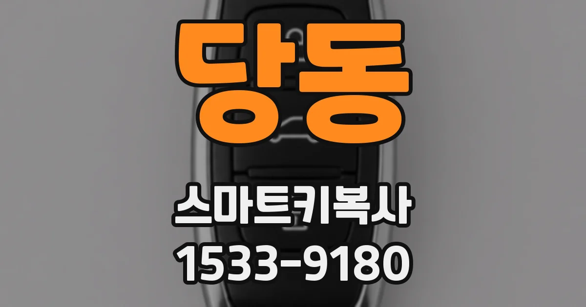 당동 스마트키복사