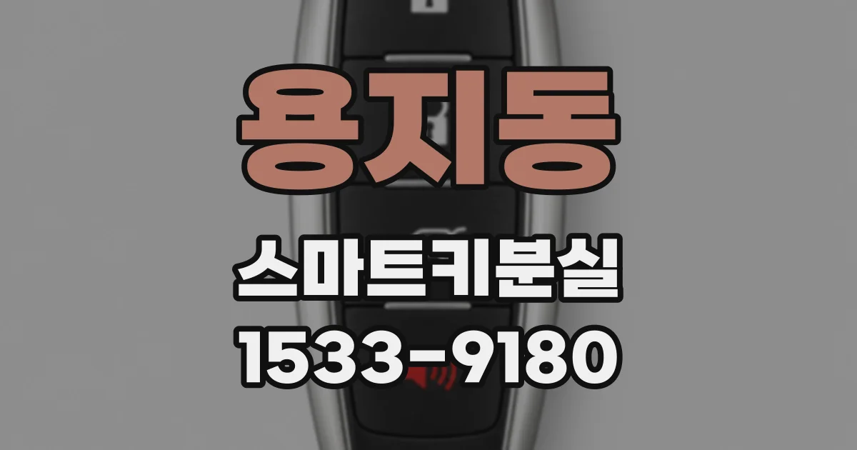 용지동 스마트키분실