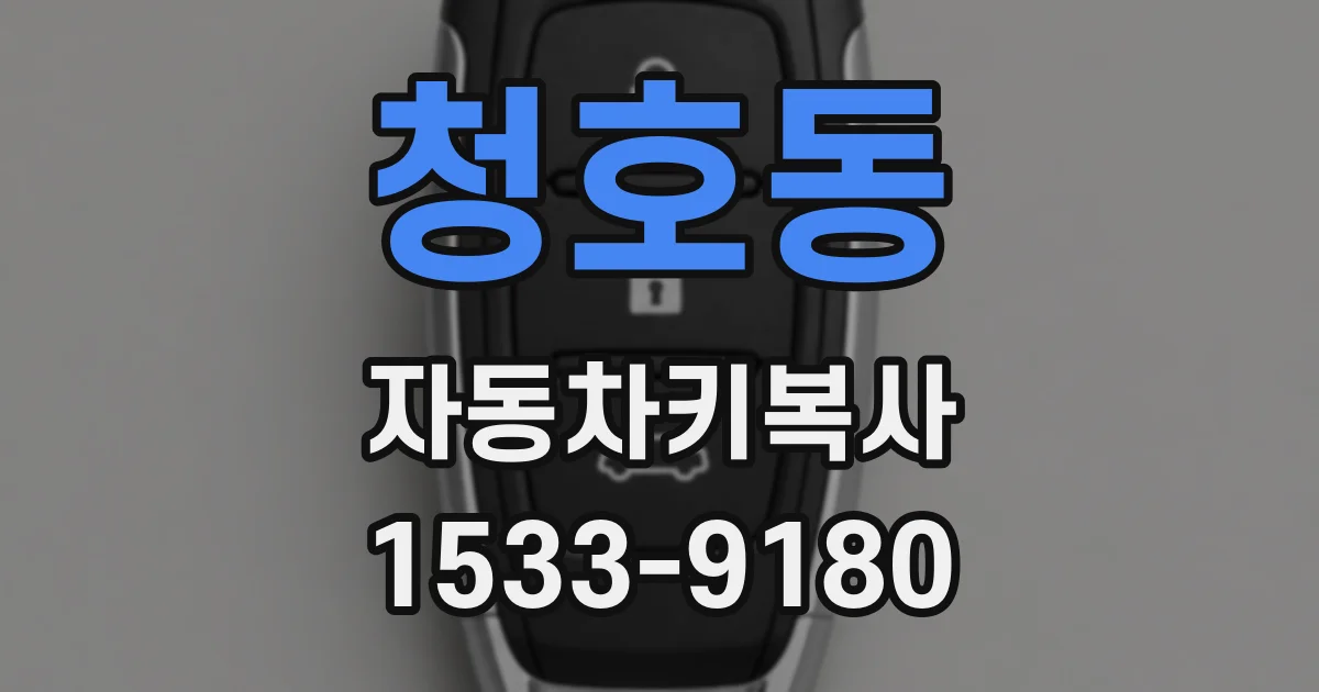 청호동 자동차키복사