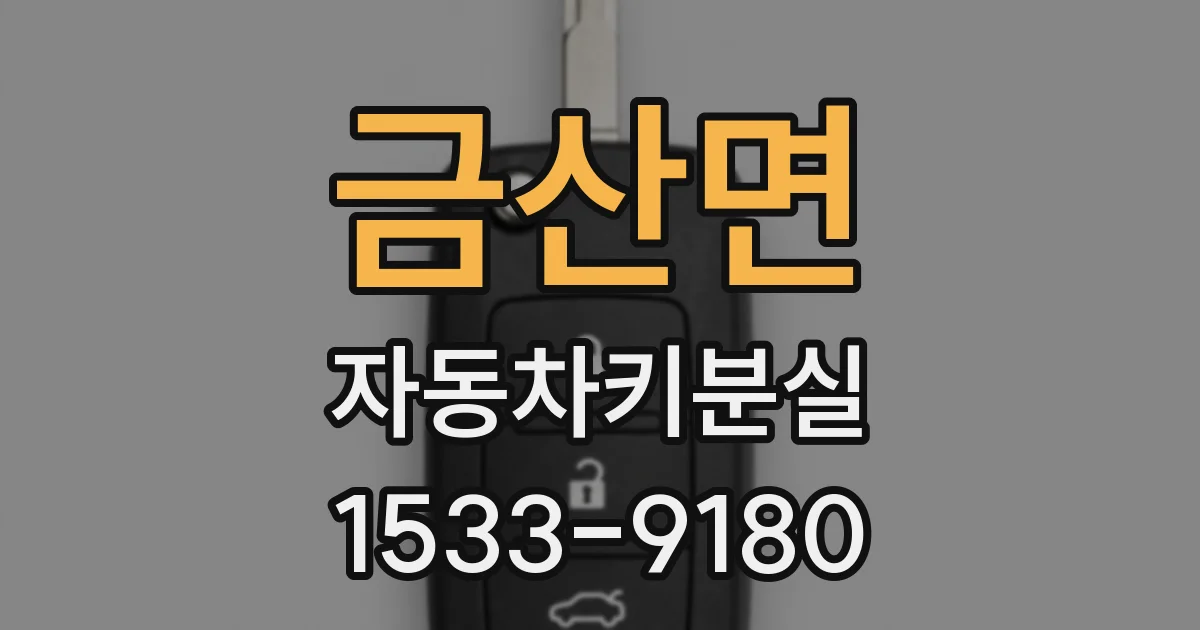 금산면 자동차키분실