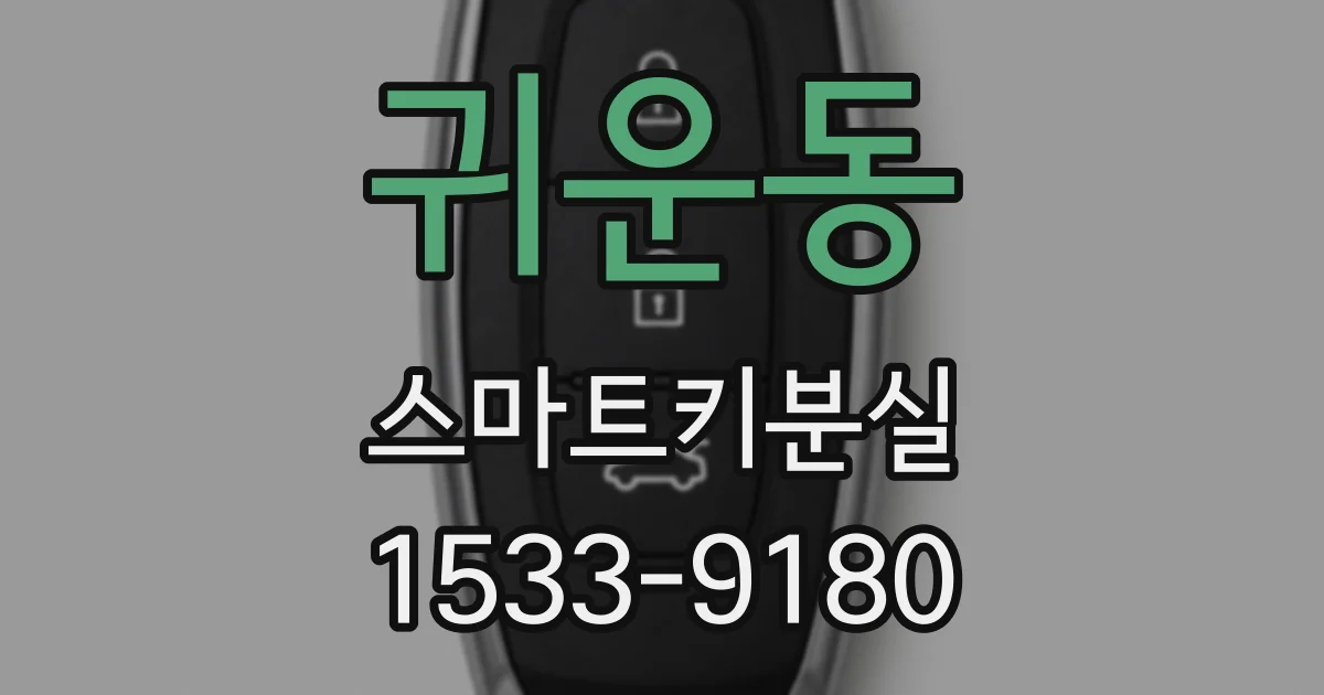 귀운동 스마트키분실