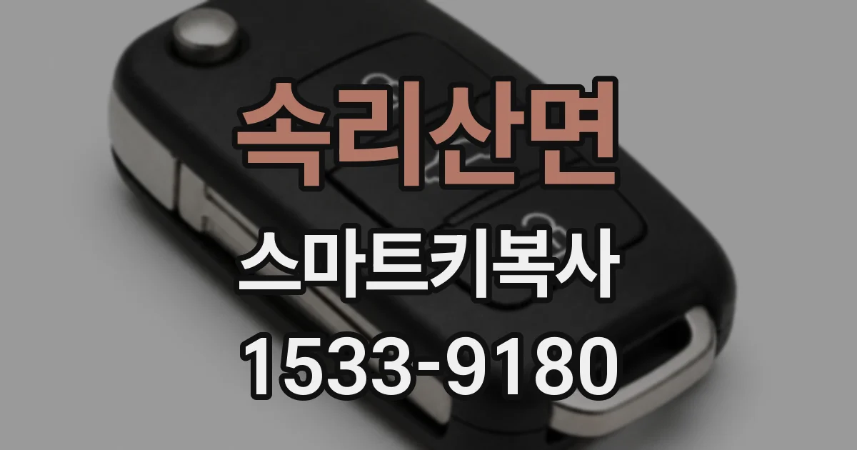 속리산면 스마트키복사