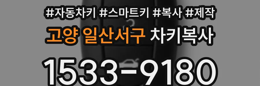 고양 일산서구 차키복사
