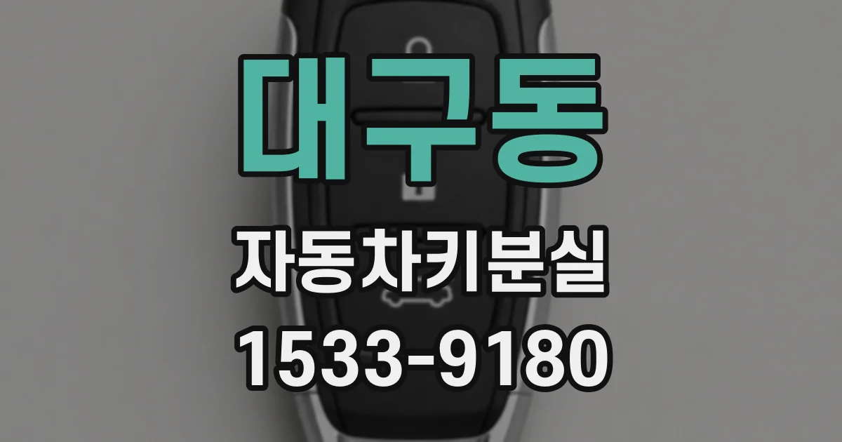 대구동 자동차키분실