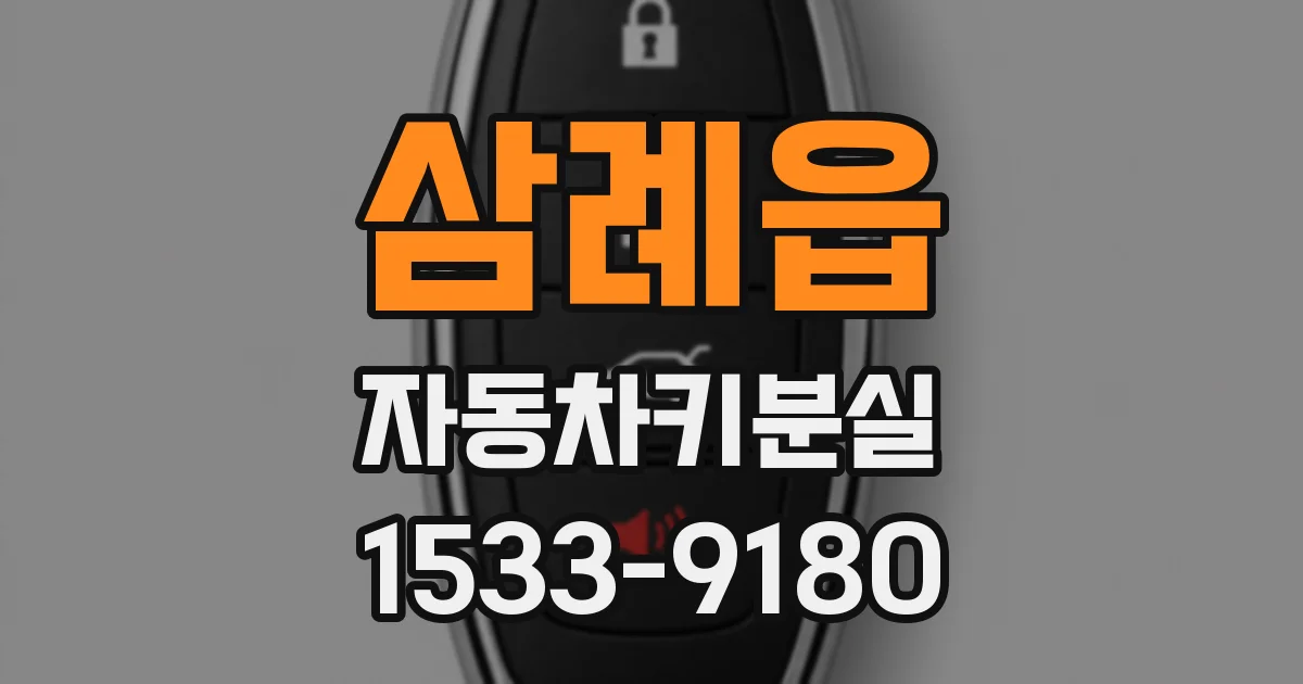 삼례읍 자동차키분실