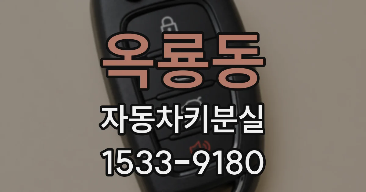 옥룡동 자동차키분실