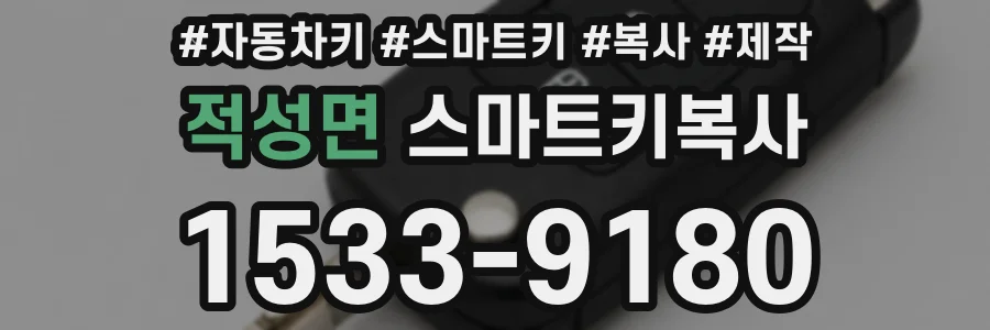 적성면 스마트키복사