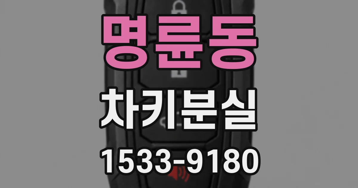 명륜동 차키분실