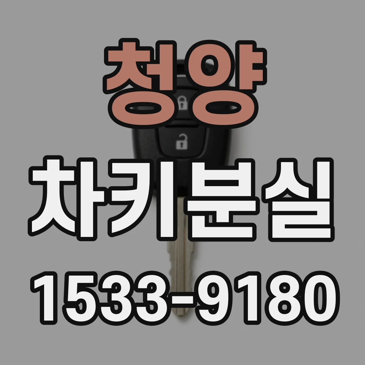 청양 차키분실