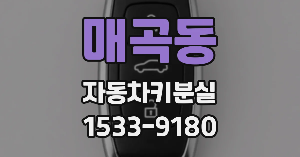 매곡동 자동차키분실