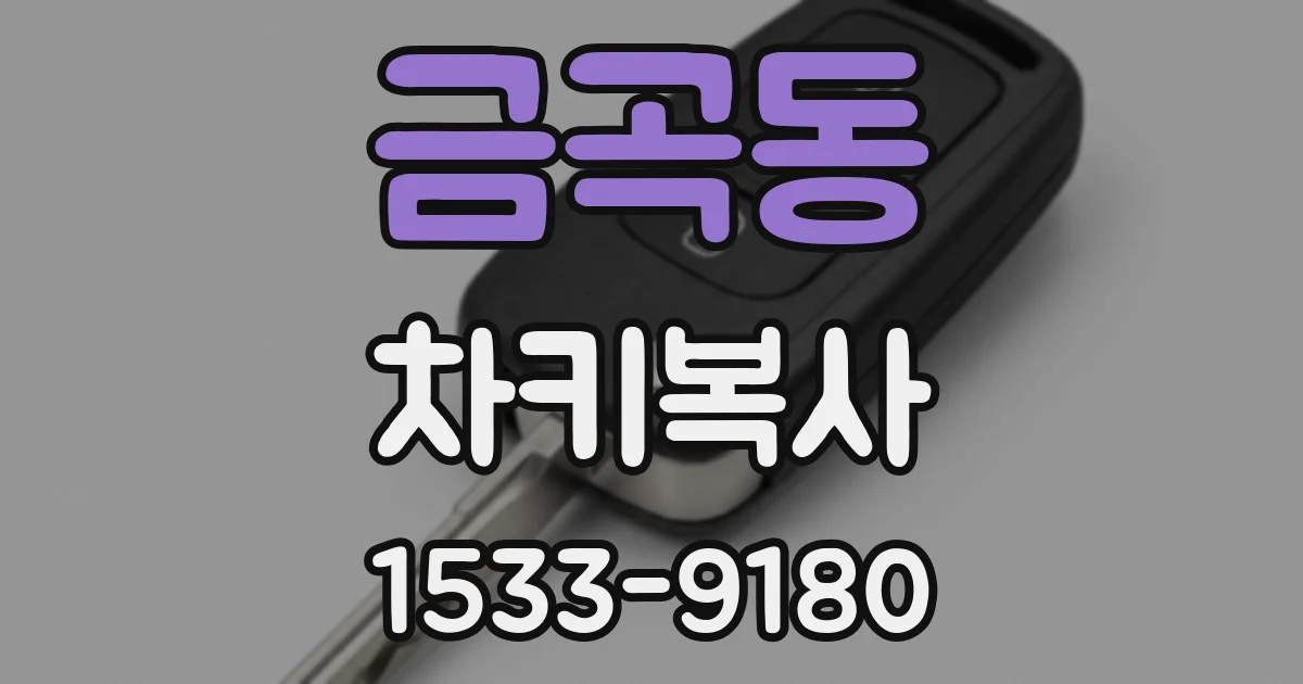 금곡동 차키복사