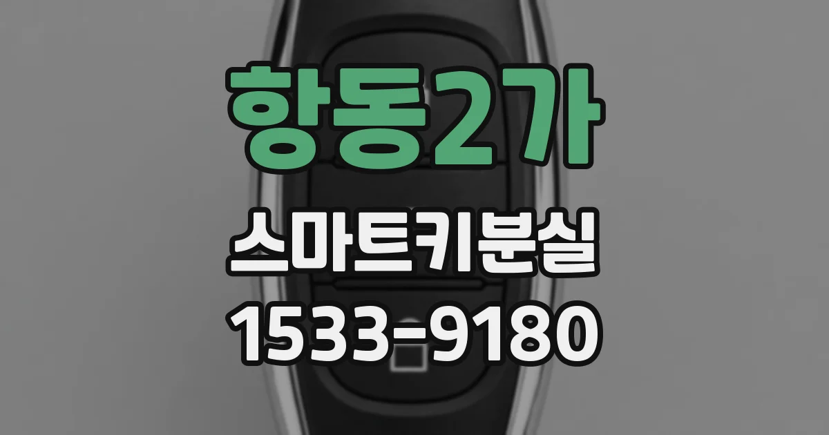 항동2가 스마트키분실