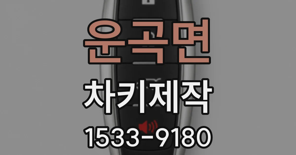 운곡면 차키제작