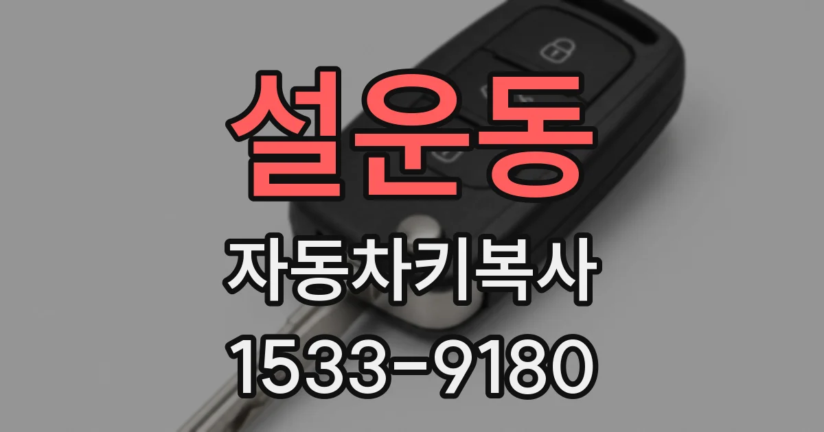 설운동 자동차키복사