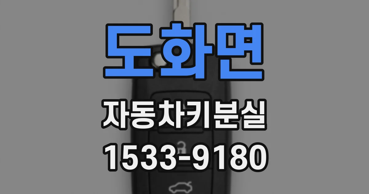 도화면 자동차키분실