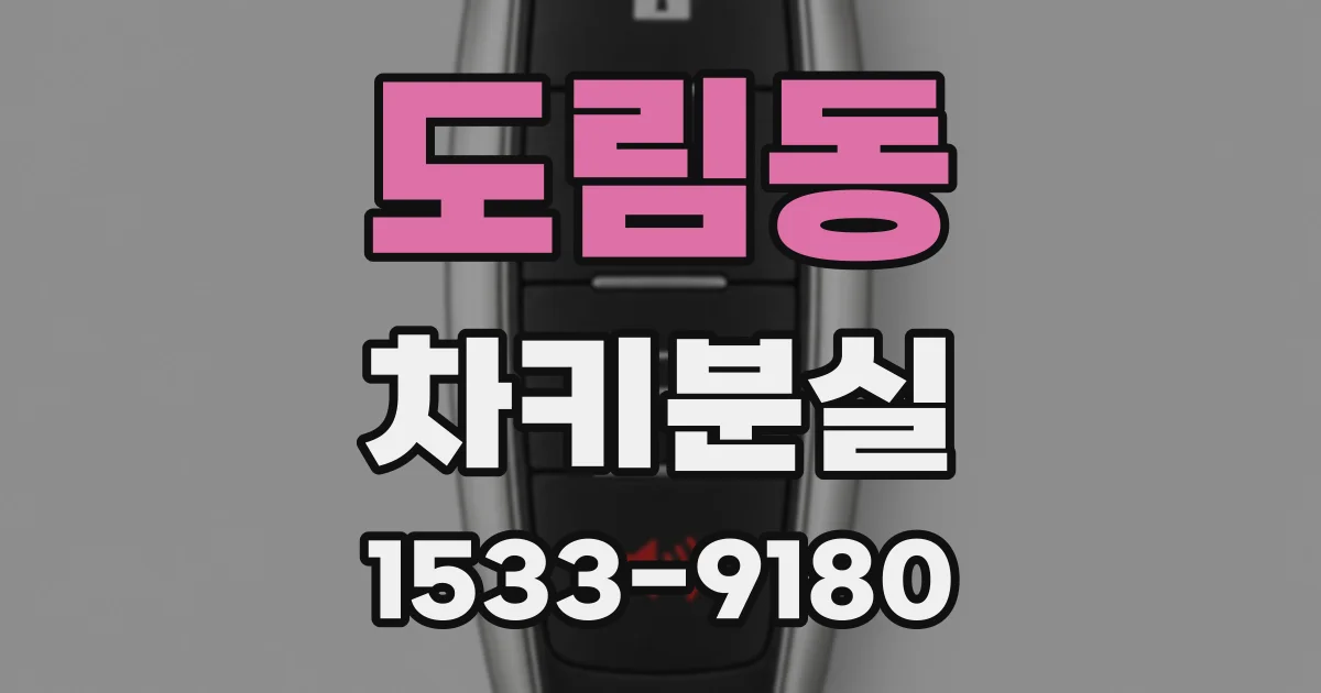 도림동 차키분실