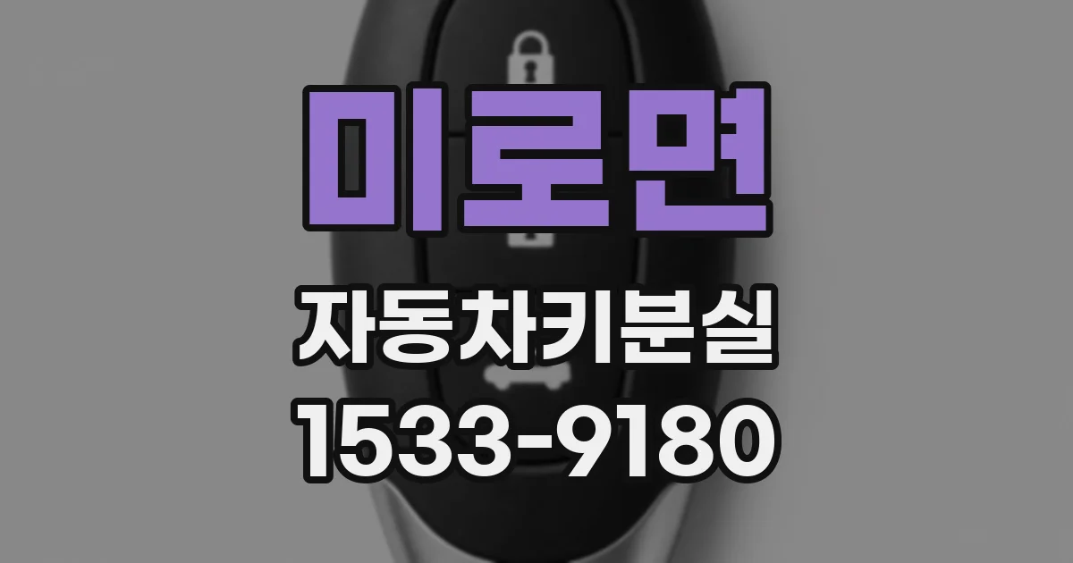 미로면 자동차키분실