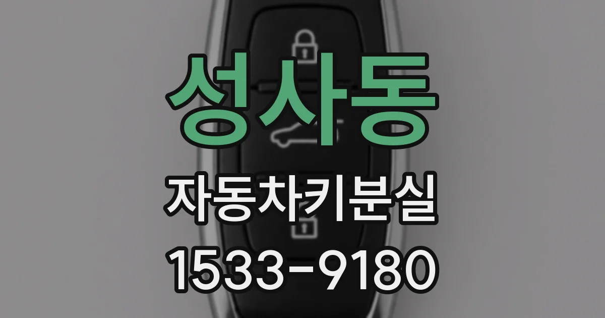 성사동 자동차키분실