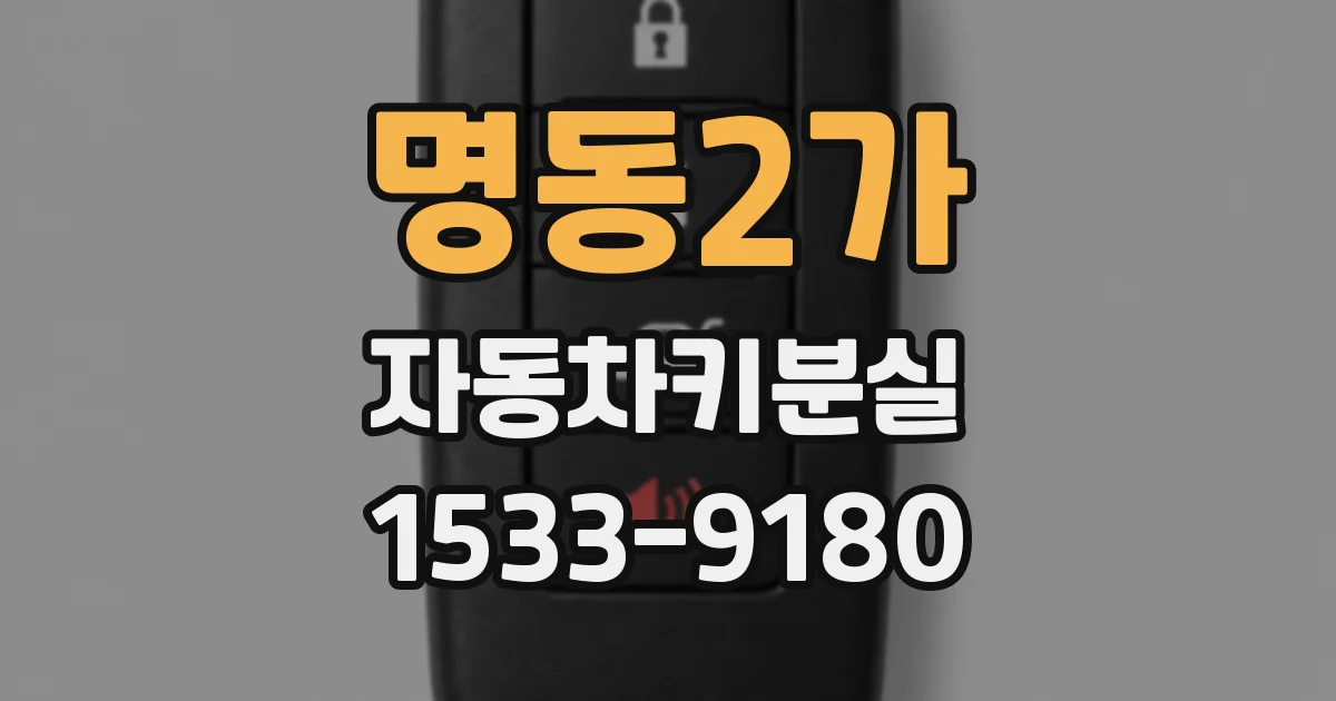 명동2가 자동차키분실